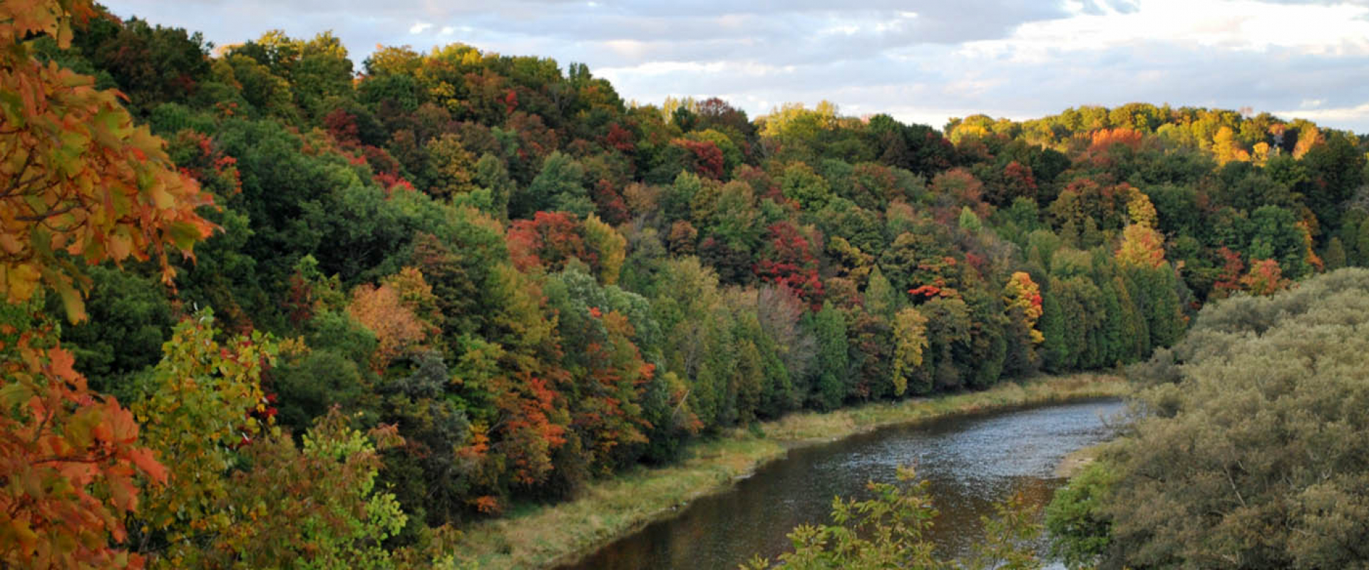 The colourful leaves of autumn run along the shores of the Grand River 
