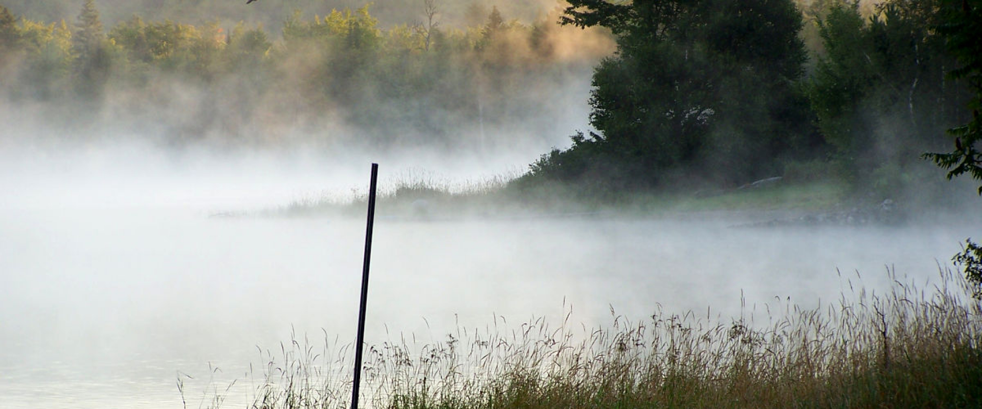A misty morning on a St. Croix beach nearly hides a motor boat docked in the long grass of the shores. 