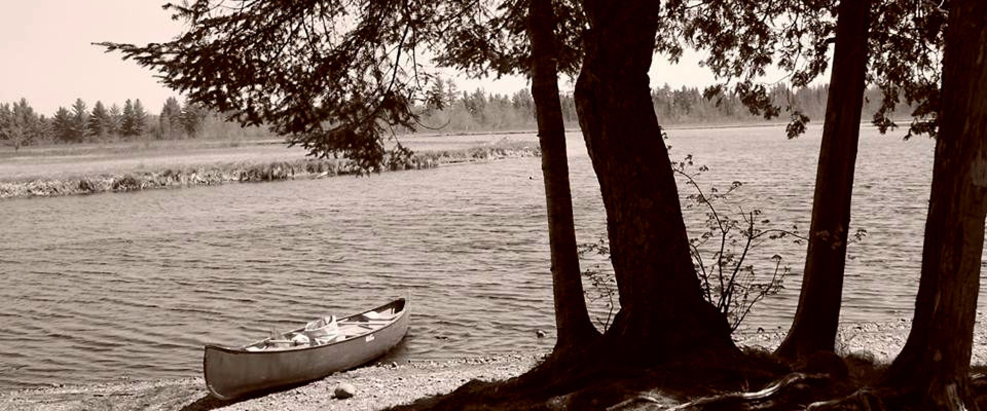 A black and white image of a canoe resting on the banks of St. Croix River near a group of trees. 