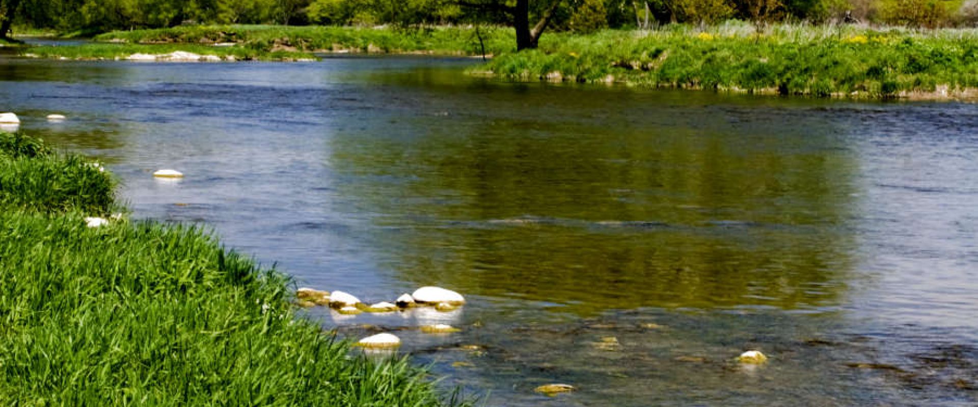 A pastoral scene of the Grand River's shallow waters.