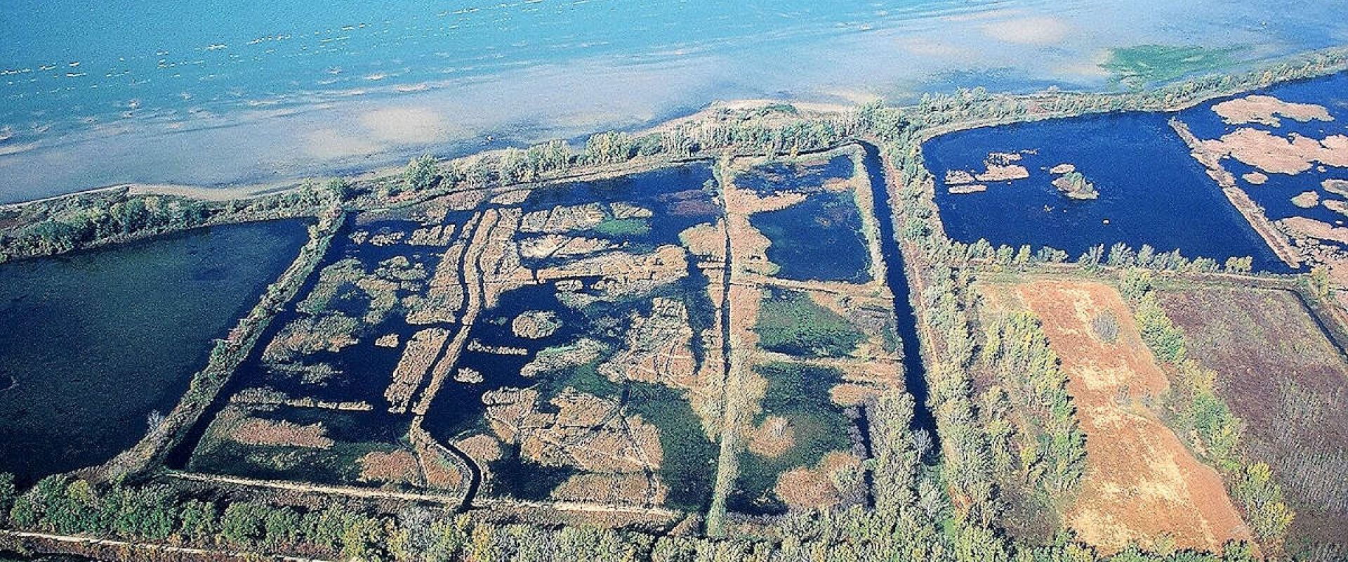 An aerial photograph showing several acres of the St. Clair Marshes, located beside Lake St. Clair.