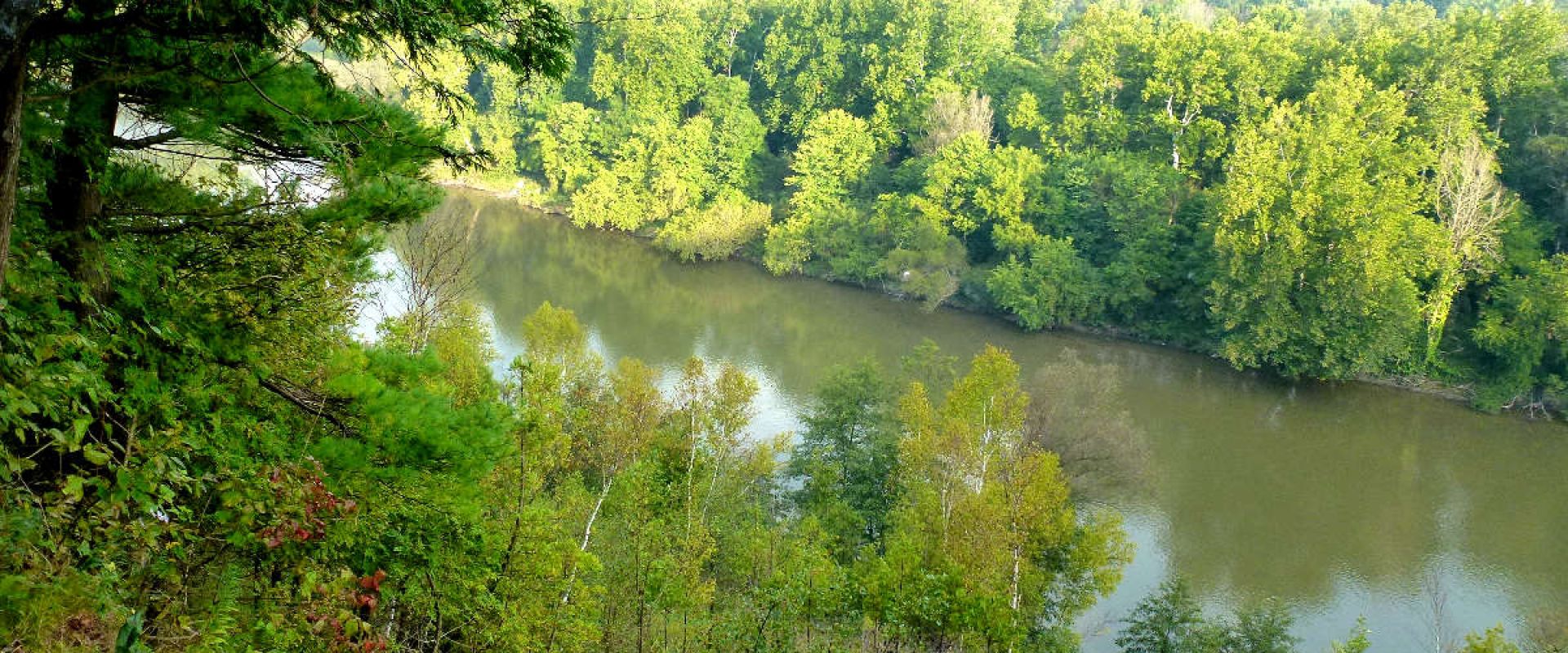 The view from the edge of Komoka Bluff looking down towards a forested section of the Thames River.