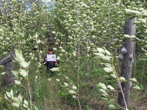 (2006-2016) dans un camp sur la rivière Bonnet Plume Photo: Gouvernement du Yukon