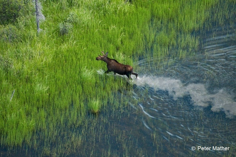 Rivière Nahanni Sud