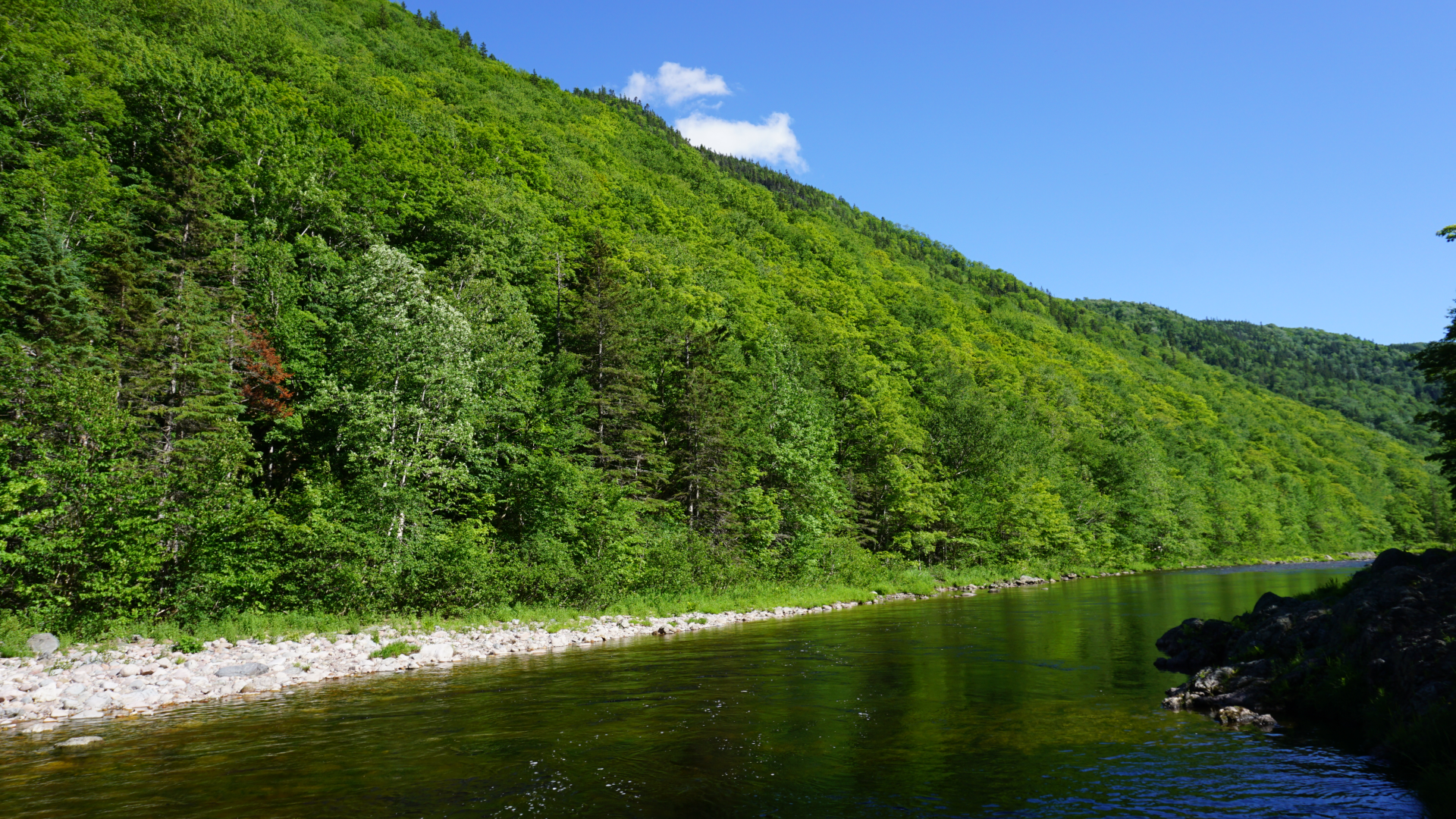 Margaree river