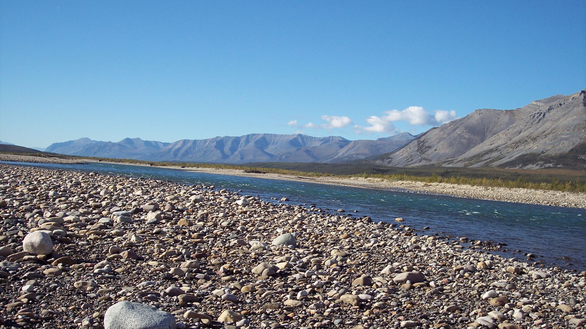  Les rives rocheuses de la rivière Tsiigehnjik (Arctic Red) sous un ciel bleu dégagé.