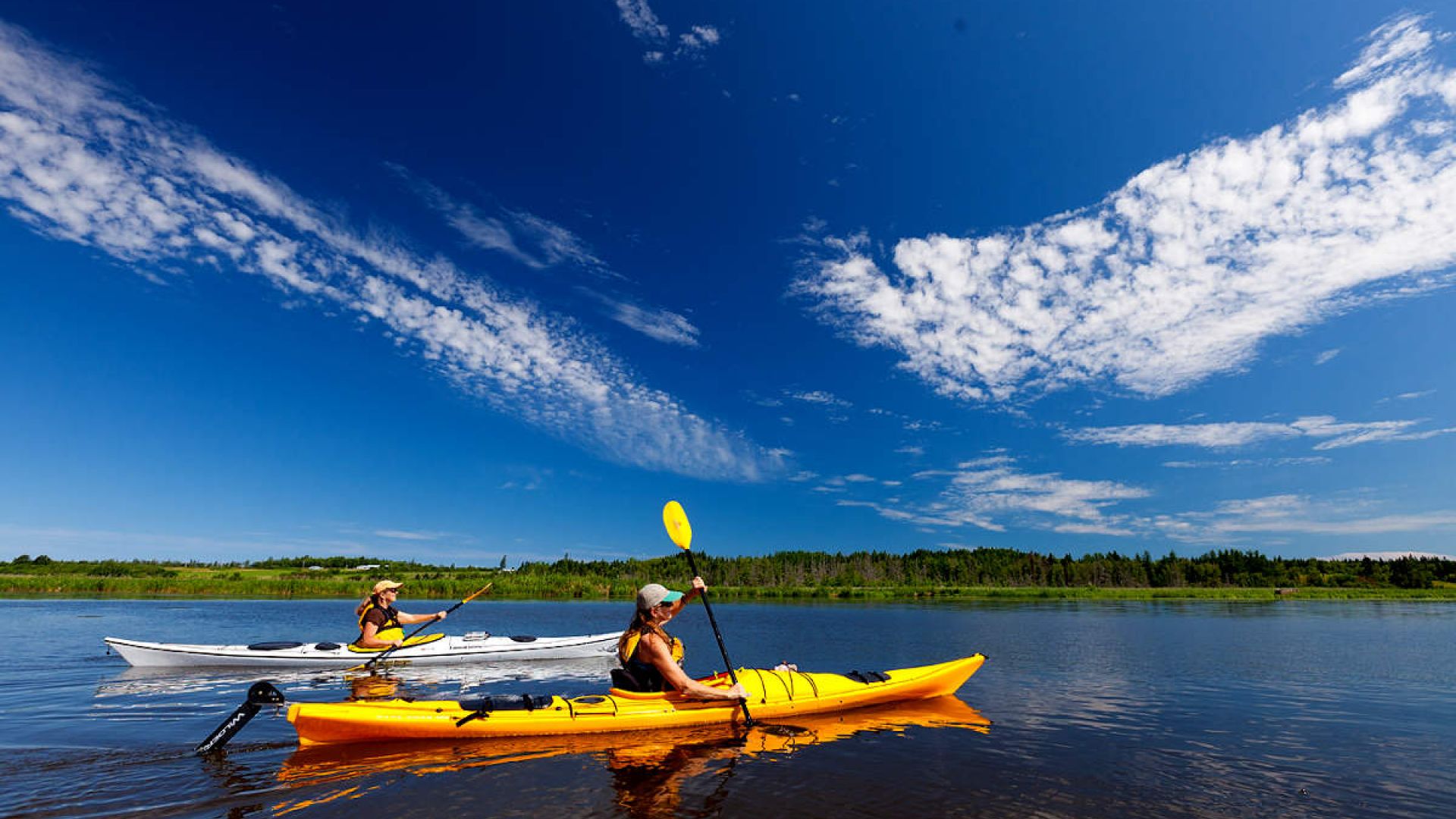 Two Kayakers paddle the Hillsborough River on a beautiful, sunny day