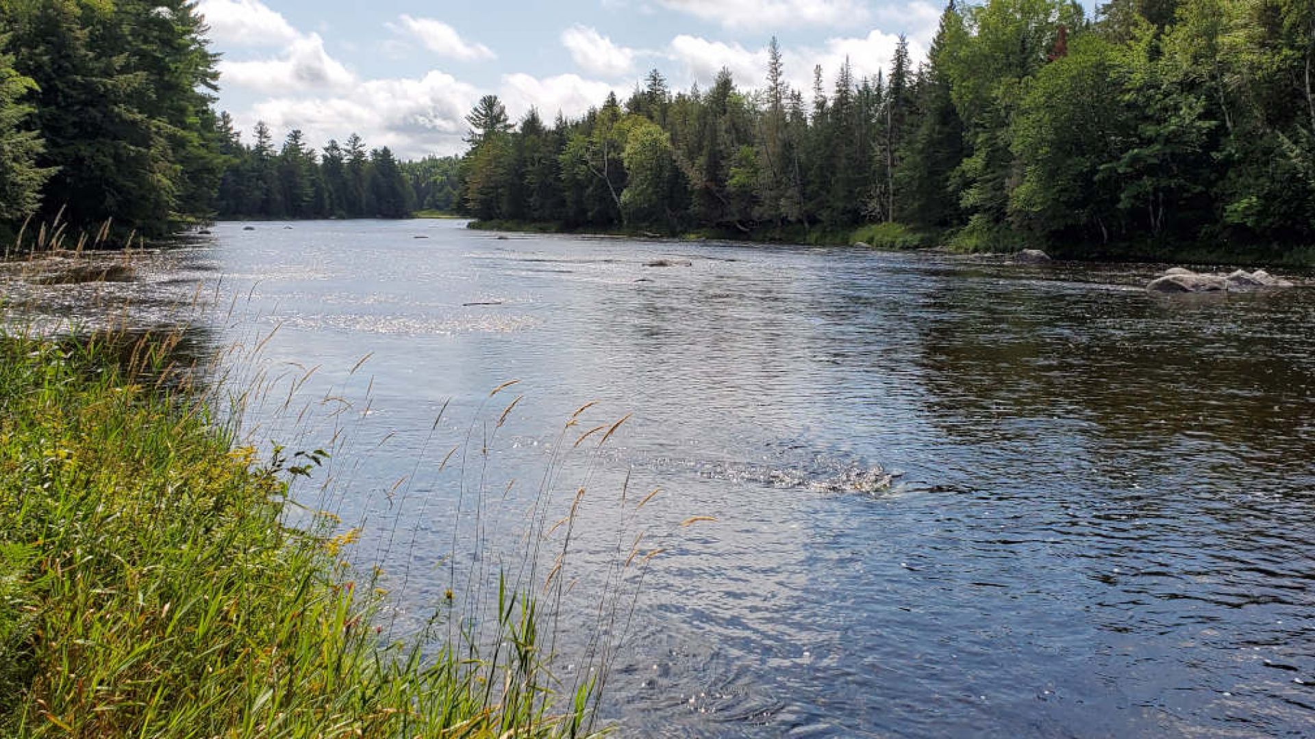 The still waters of the St. Croix River reflect the blue sky and trees along the shore. 