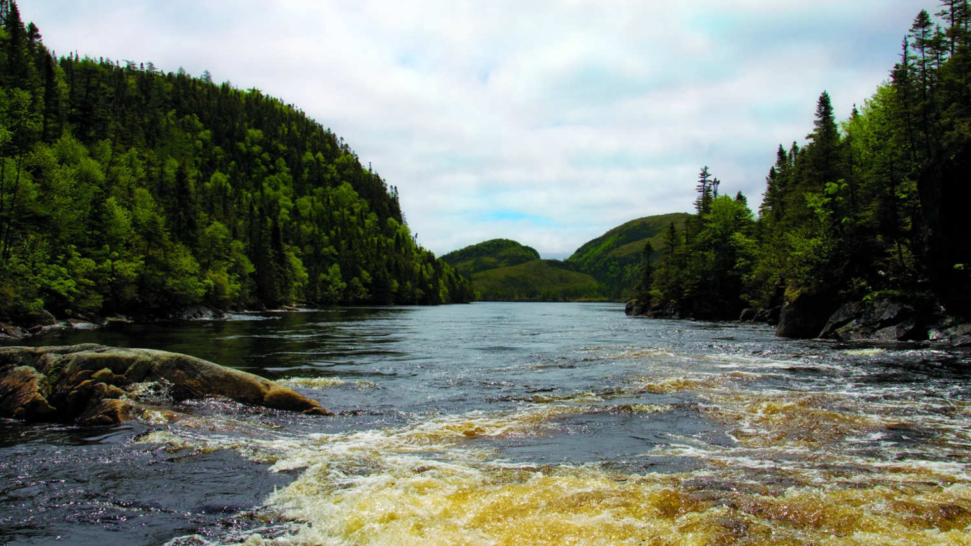 Le passage de la rivière Bay du Nord est entouré d'un paysage densément boisé.