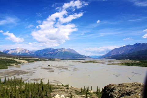 Alsek river