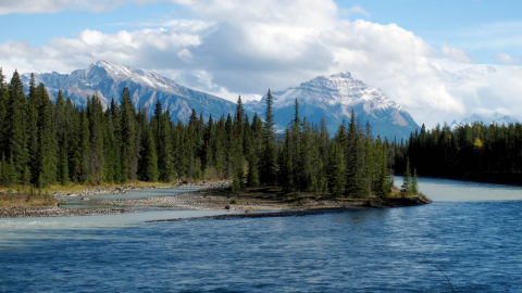 L’Athabasca, rivière du patrimoine, traverse le parc national Jasper