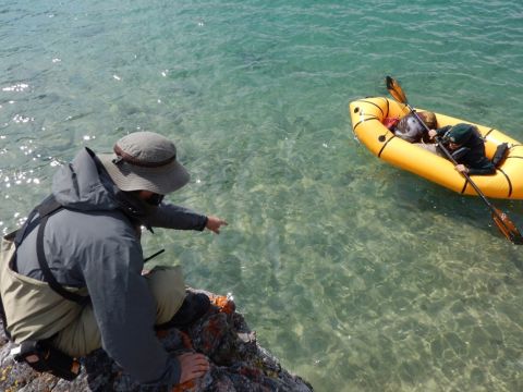 Une personne dans un bateau et une personne sur la rive regardant les poissons dans la rivière Kicking Horse.