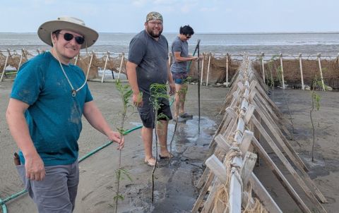 Chris Adams (left), Joseph Sutherland (middle), and Linden McCorrister (right), planting willows at the restoration site. 