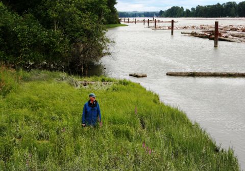 Outdoor Recreation Council of BC Rivers Chair Mark Angelo beside a stretch of the lower Fraser. The Heart of the Fraser is tied for BC’s most endangered river in 2025.