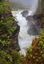 Les chutes Athabasca sont l’une des nombreuses haltes fréquentées le long de la rivière Athabasca. Photo: Rogier Gruys