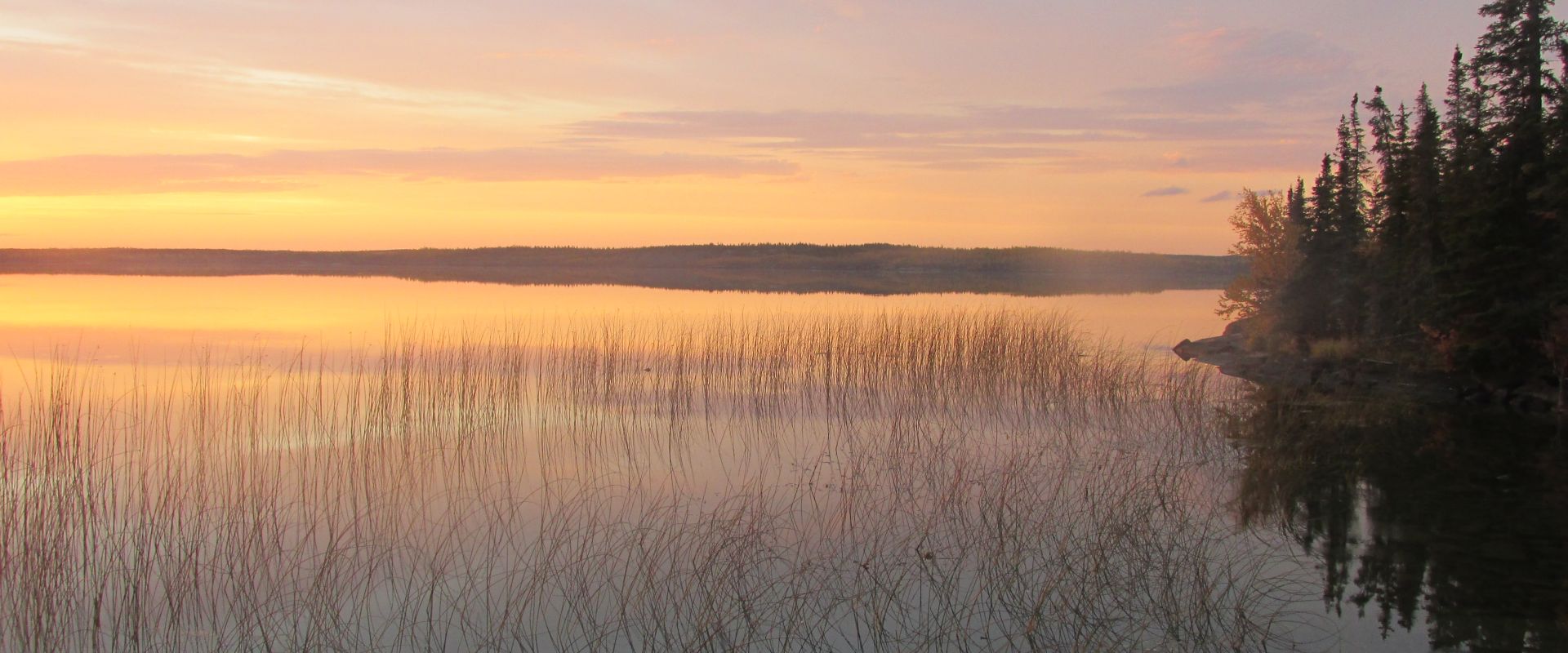 A calm, glassy lake is pictured at sunset. Many reeds are visible in the water near the shoreline.