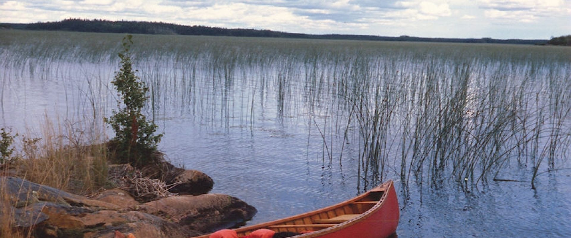 In the foreground, a red canoe sits along the rocky shoreline of Hairy Lake. Many reeds and bulrushes are visible on the lake.