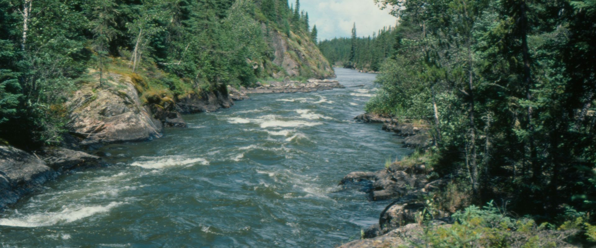 A view looking downstream at a stretch of rapids on the Hayes River.
